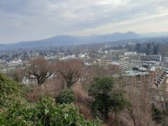 IMG-20230129-WA0006